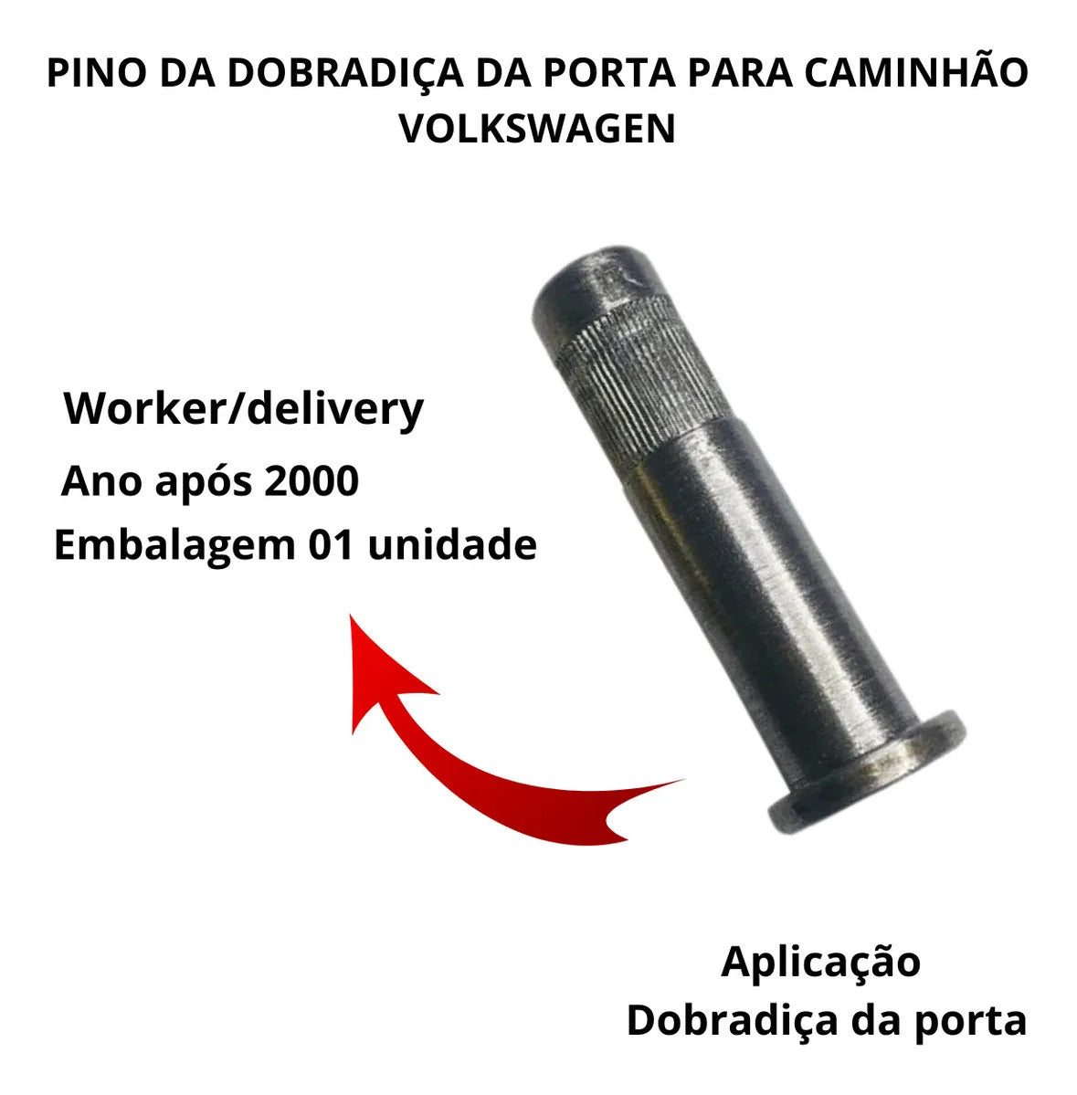 Pino da Dobradiça Porta VW Worker Delivery Titan